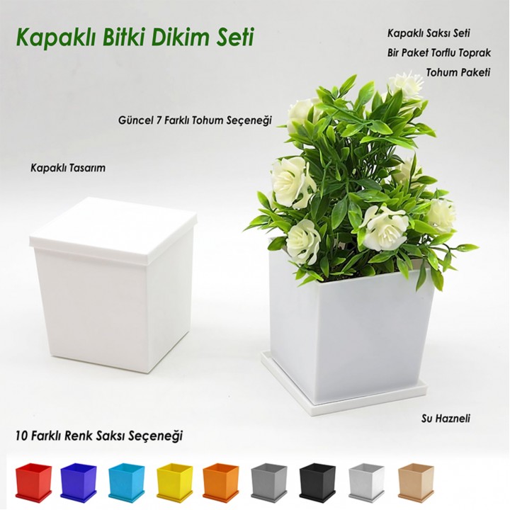 kare kapaklı promosyon bitki dikim seti tohumlu su hazneli logo baskılı eşantiyon saksı